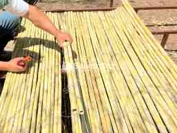 Bambu Çit Fiyatları