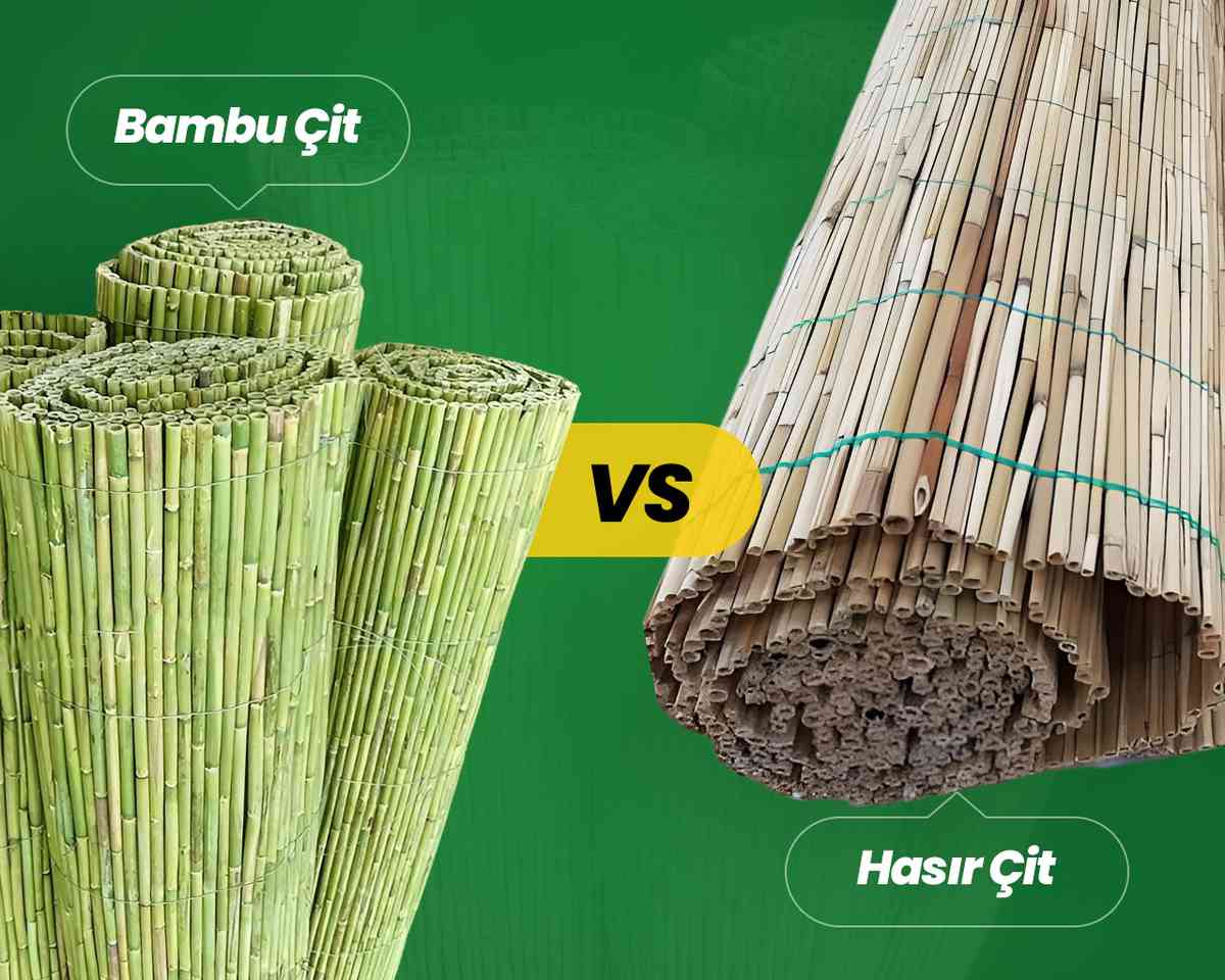 Bambu Çit ve Hasır Çit Arasındaki Farklar Nelerdir?
