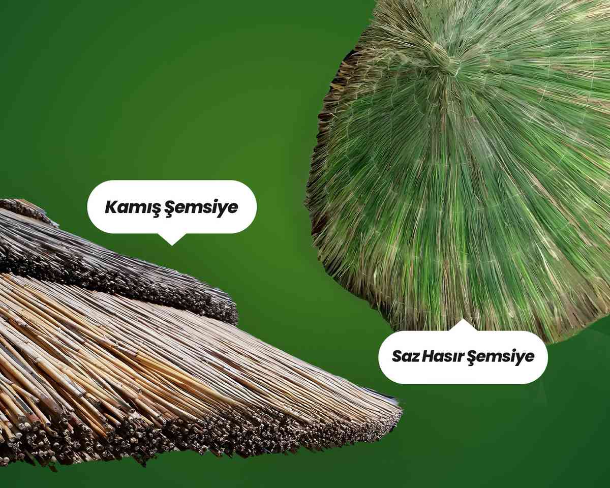 Hasır Şemsiye ve Kamış Şemsiye Arasındaki Farklar Nelerdir?