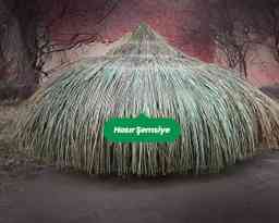 Hasır Şemsiye ve Kamış Şemsiye Arasındaki Farklar Nelerdir?