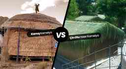 Çin Otu Hasır Kamelya ile Kamış Kamelya Arasındaki Farklar