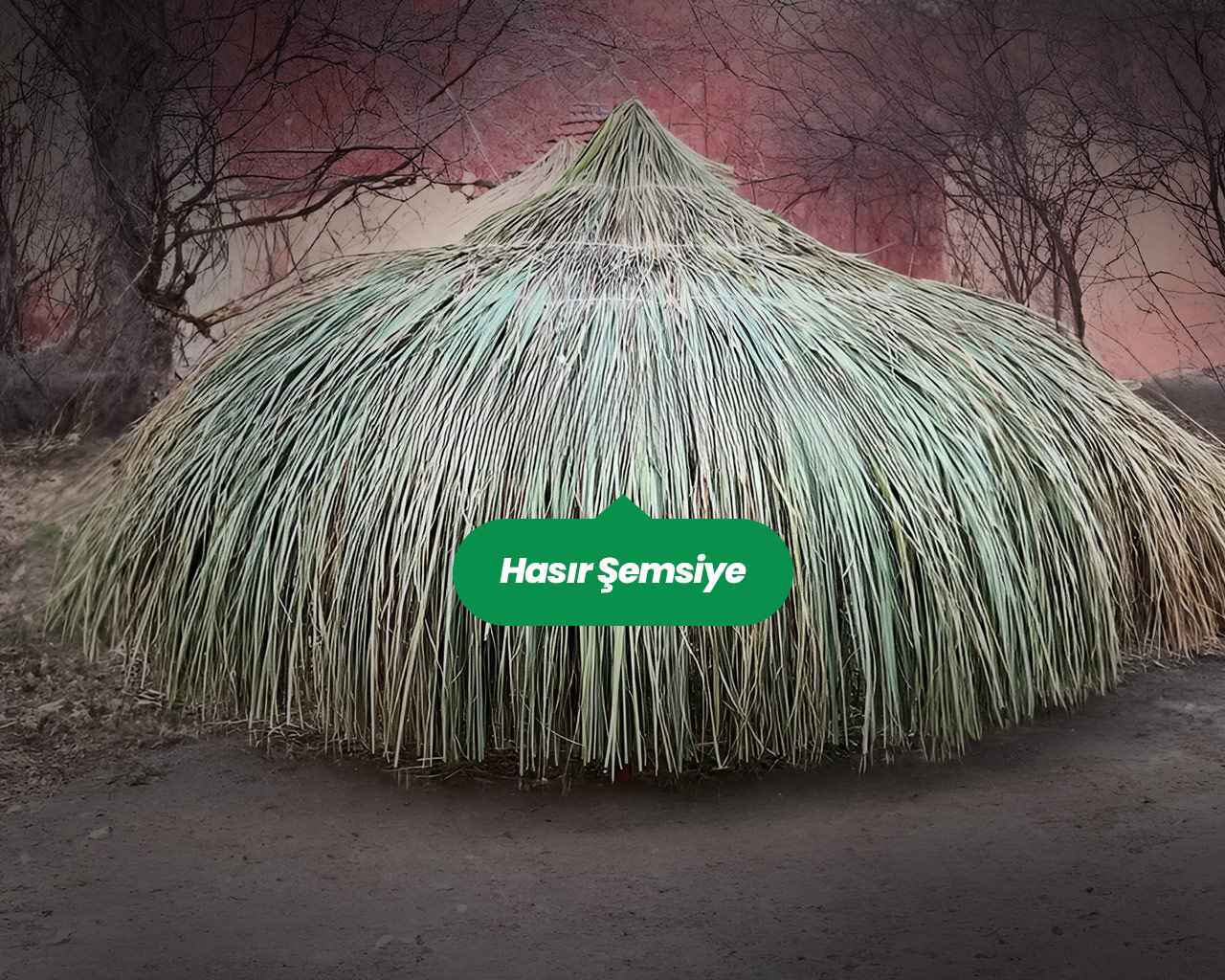 Hasır Şemsiye ve Kamış Şemsiye Arasındaki Farklar Nelerdir?