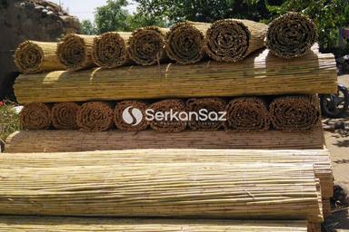 Saz Kamış Rulo