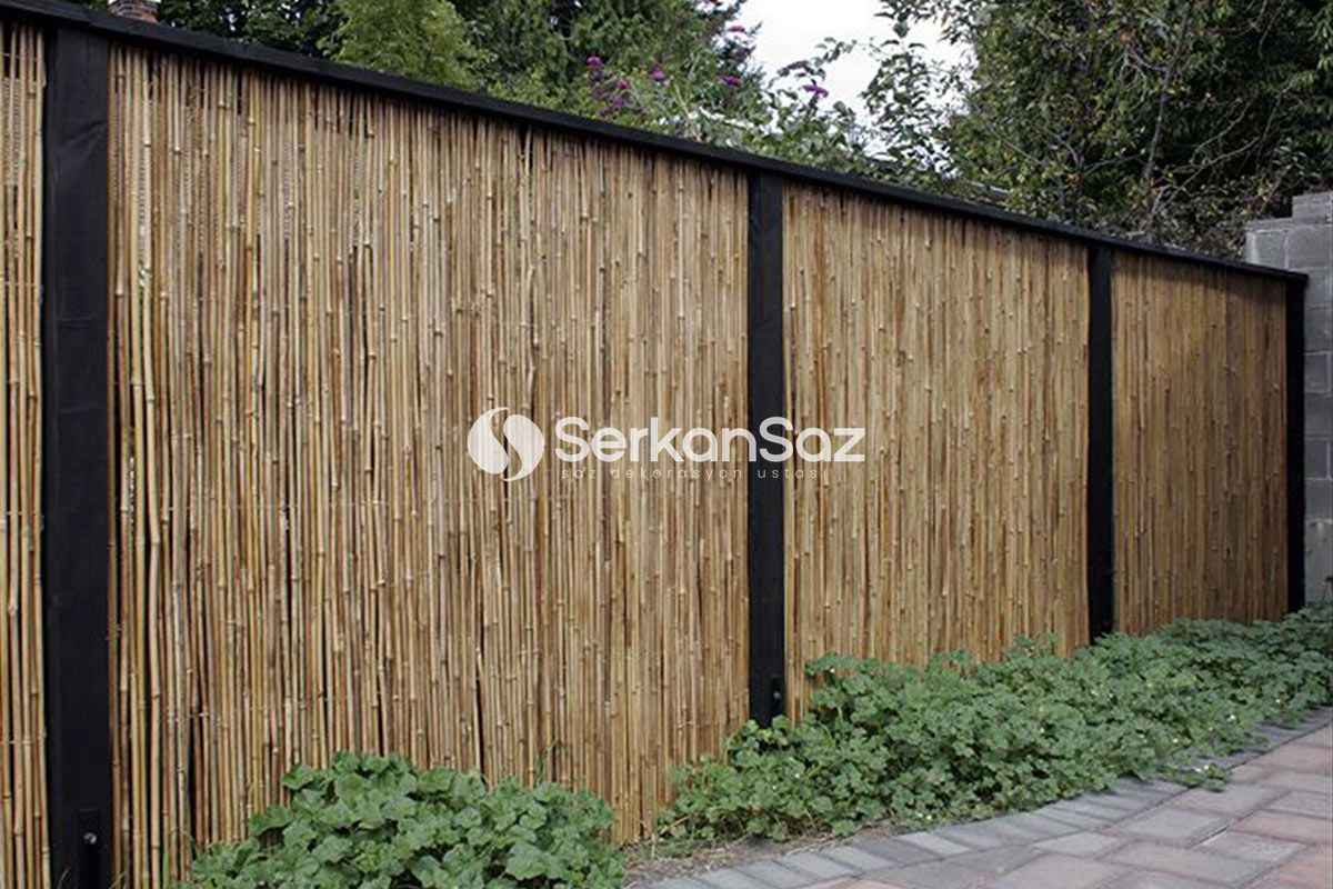 Saz Kamış Rulo