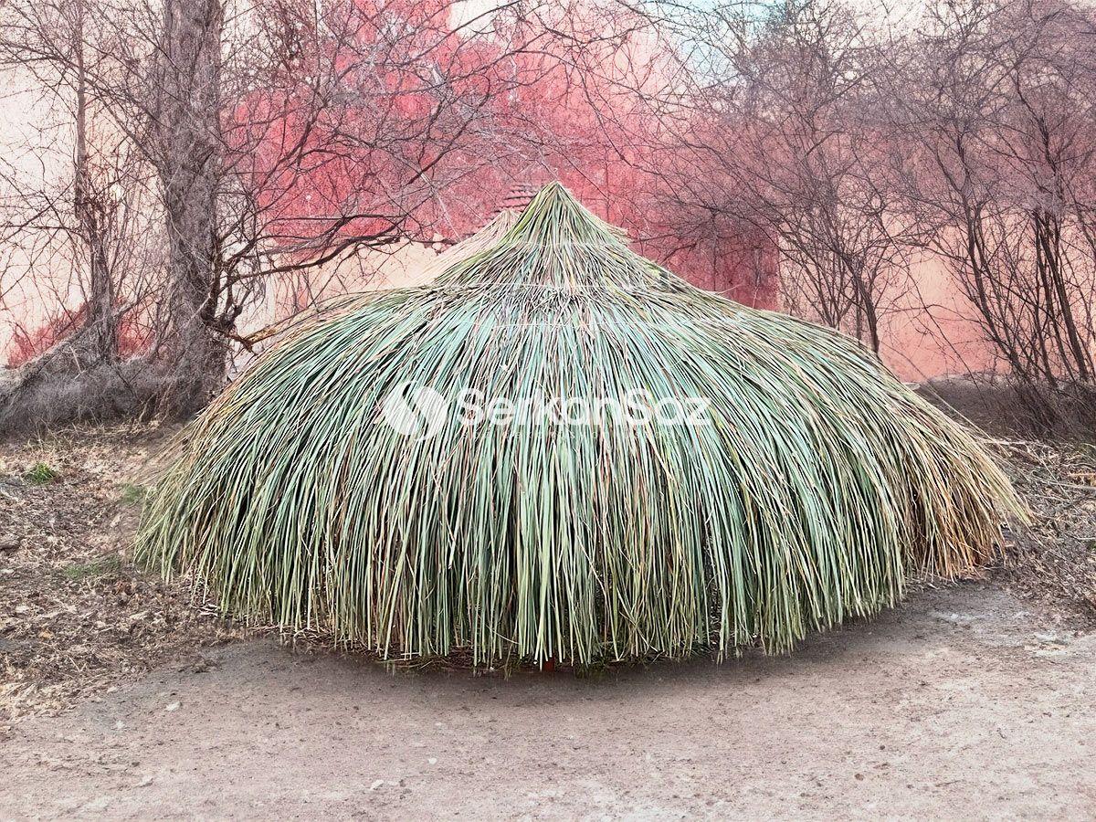 Bambu Şemsiye