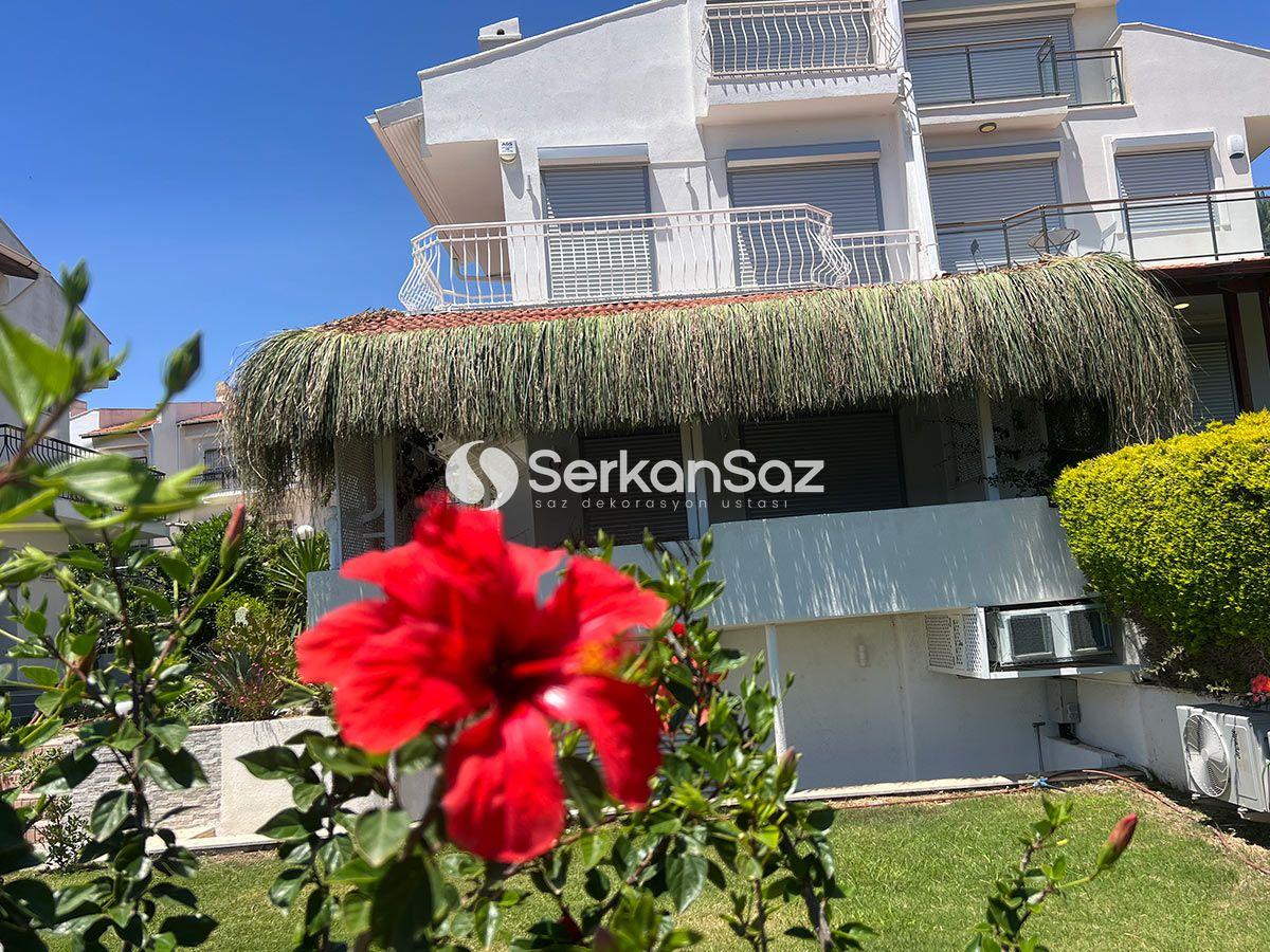 Eko Terapi Nedir?