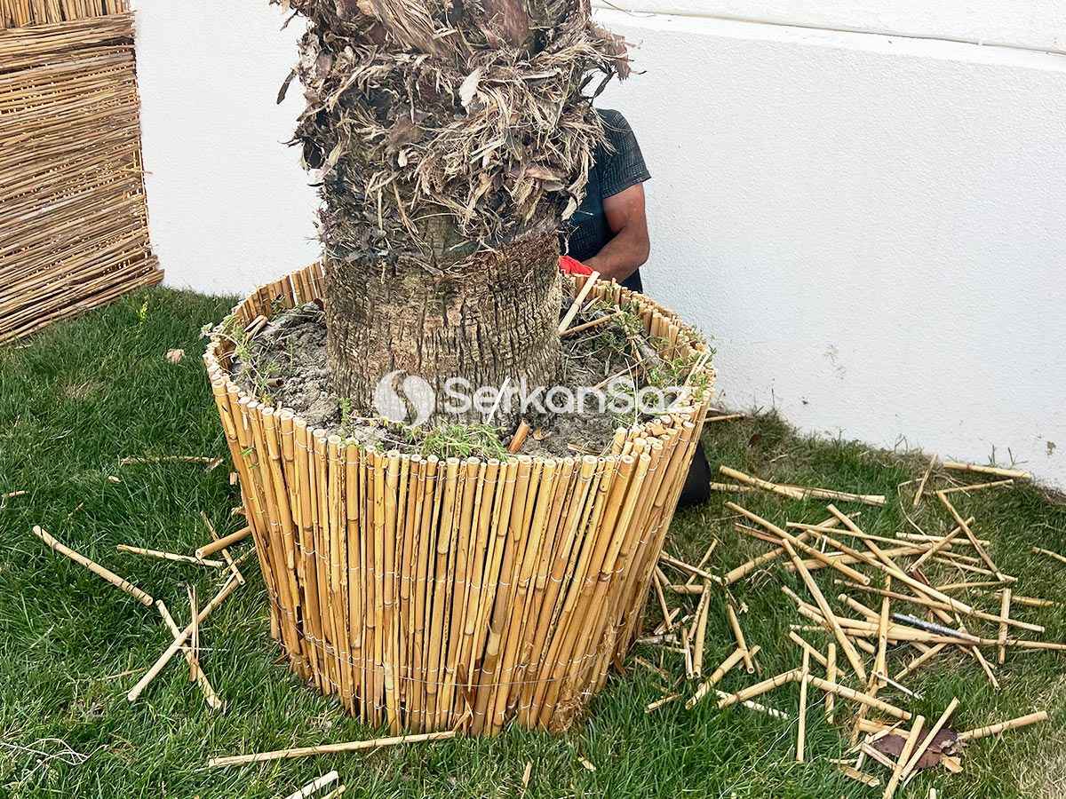 Bahçe Dekorasyon Önerileri