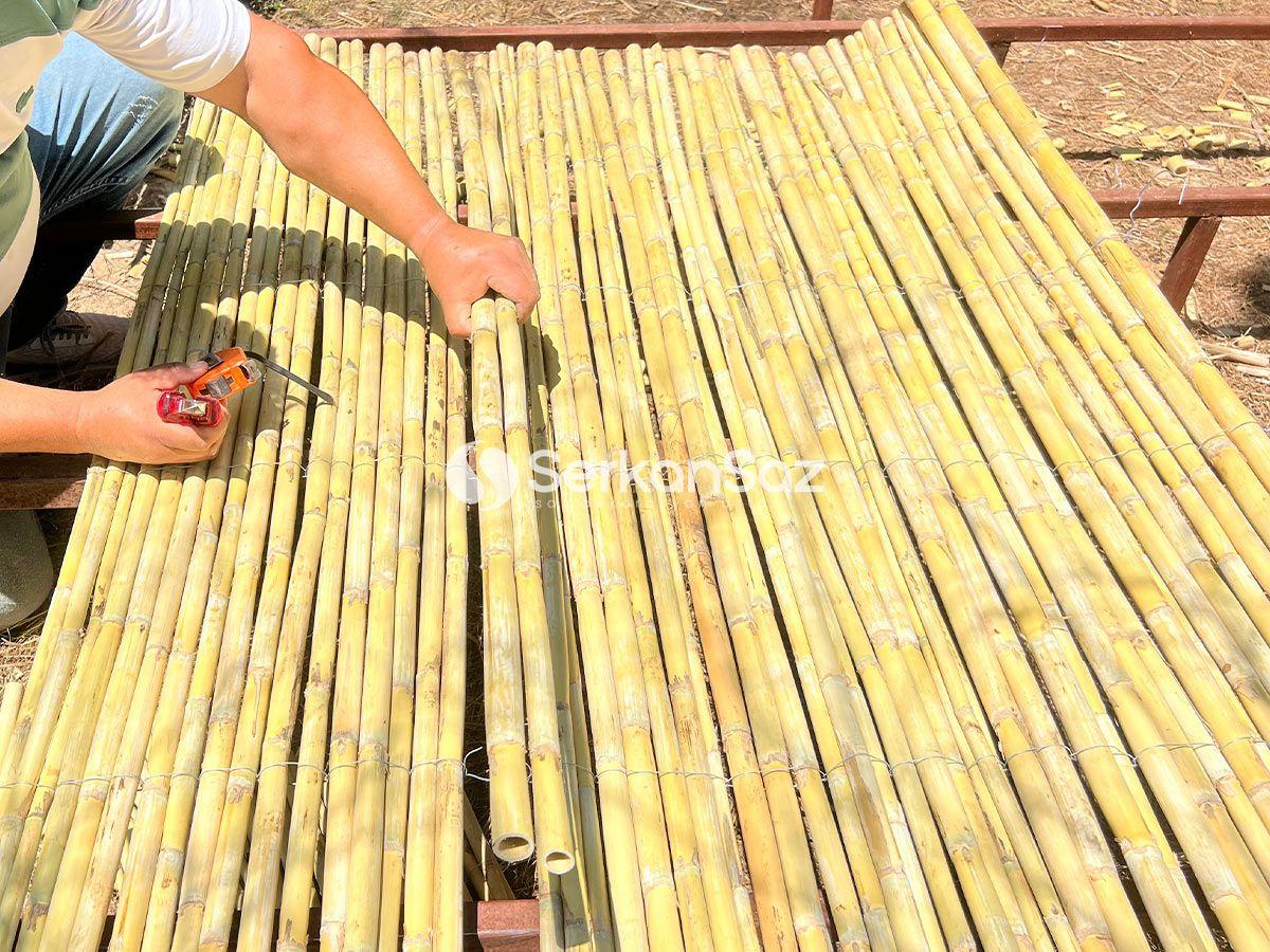 Dekorluk Kargı Kamışı