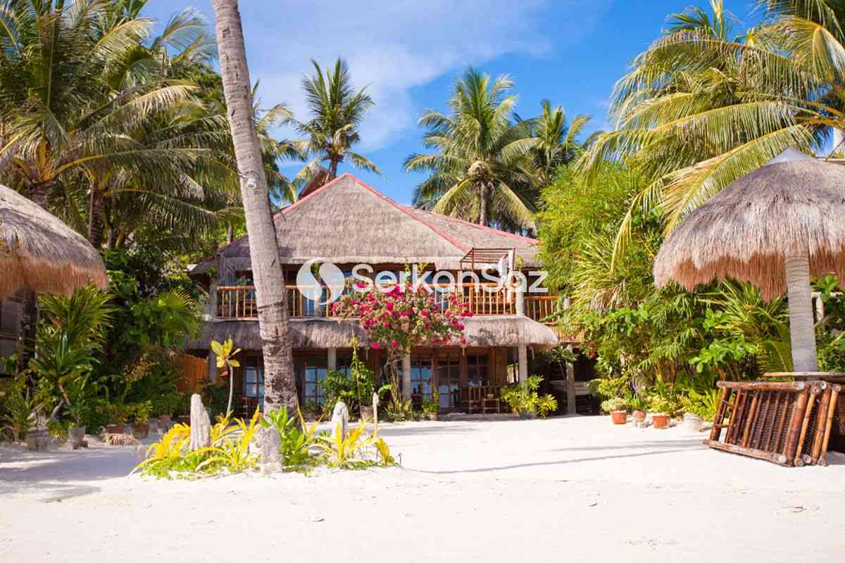 Neden Dünyada En Popüler Saz Çatı Kirpi Çatı?