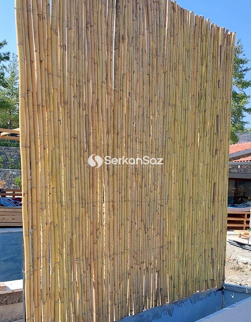 Bambu Kargı Separator