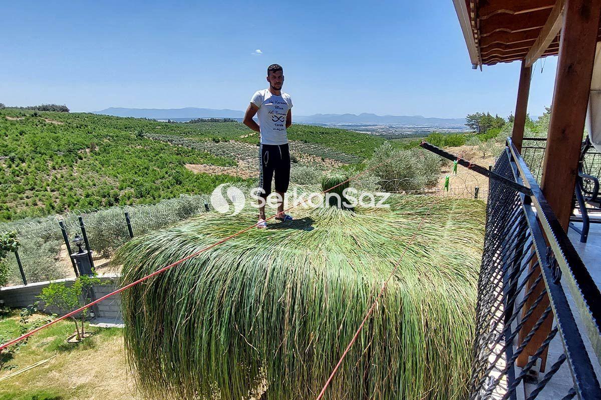 Doğa Ot Kaplama