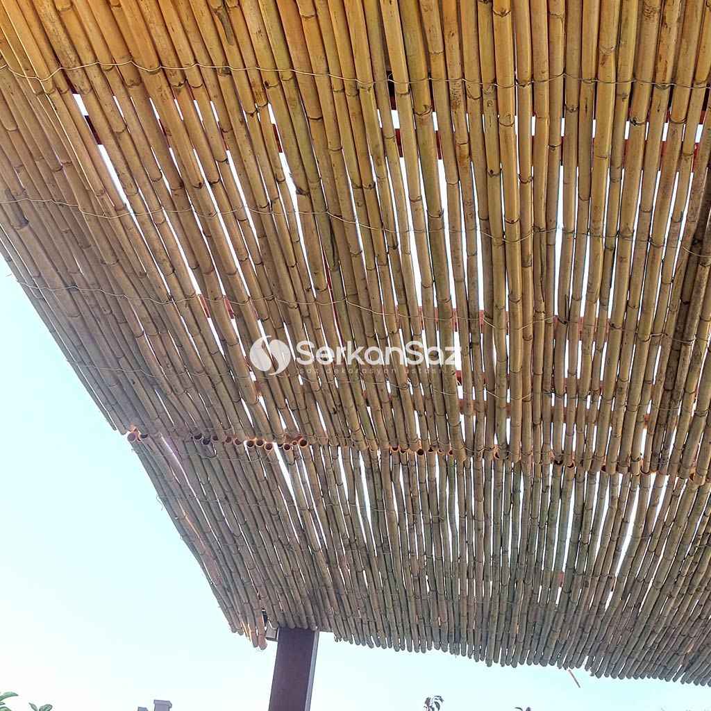 Bambu Çatı Kaplama