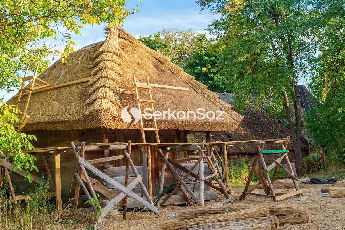 Saz Dekorasyon
