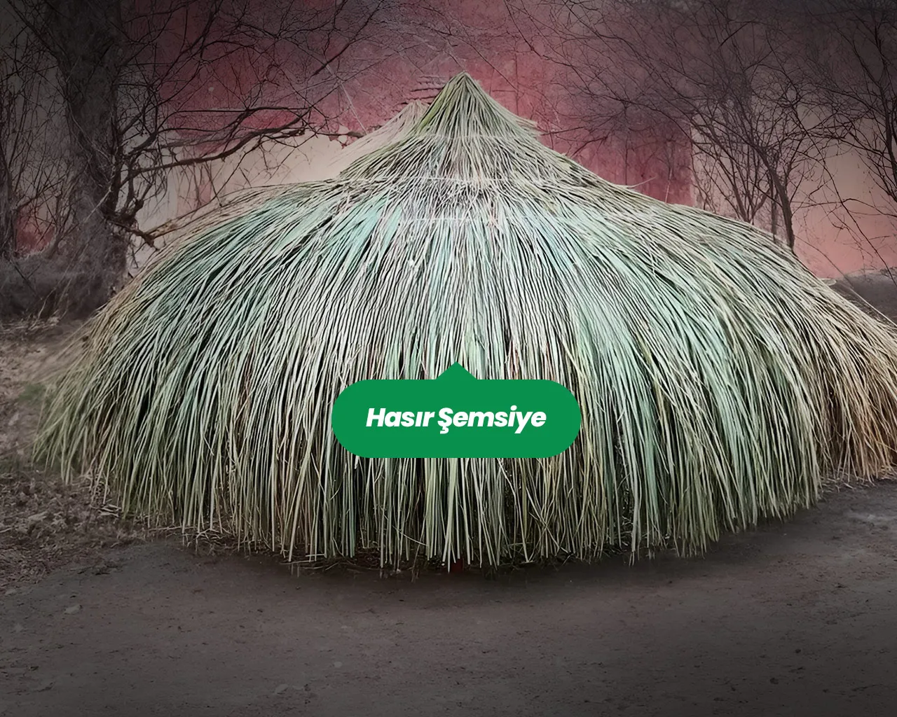 Doğal Saçaklı Hasır Plaj Şemsiyesi Fiyatları